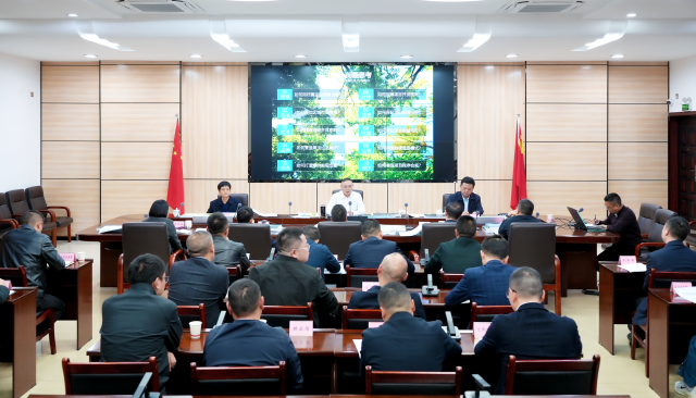 萬源市黑寶山多業態融合振興等項目方案審查專題會召開